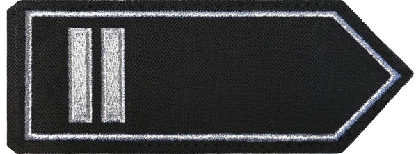 Brandoberinspektor/-in