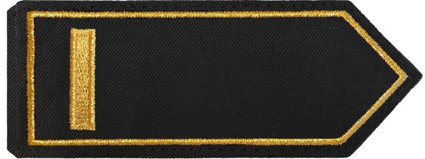 Brandrat/-rätin