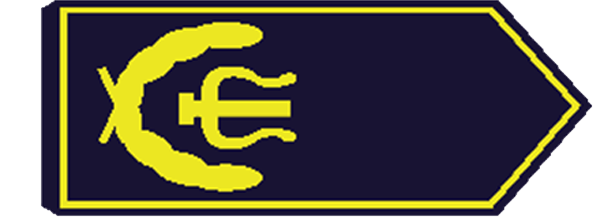 Landesstabführer/-in