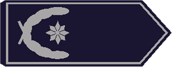Vorstandsmitglied Stadt-/Kreisfeuerwehrverband