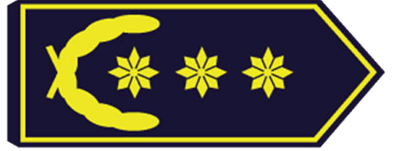 Präsident/-in Thüringer Feuerwehr-Verband