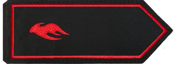 stellvertretender Kreisjugendfeuerwehrwart/stellvertretende Kreisjugendfeuerwehrwartin (stellv. KJFW), stellvertretender Stadtjugendfeuerwehrwart/stellvertretende Stadtjugendfeuerwehrwartin (stellv. SJFW)